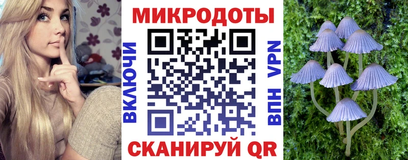 Галлюциногенные грибы Psilocybine cubensis  наркошоп  Западная Двина 